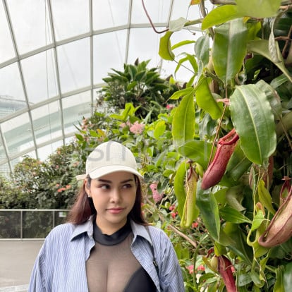 Belle – 💚💚💚