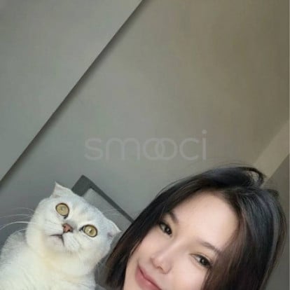 EVE – 🐈‍⬛🦭