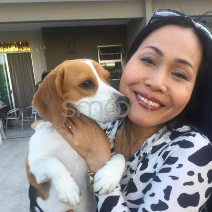 M​ Angel – Hi​,... My​ lovley ​ puppy! 