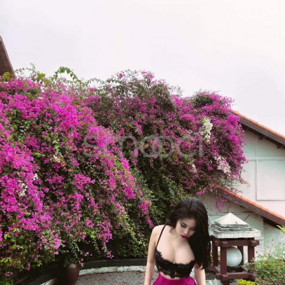 Miu Miu – Honey.. how are you today?  Do you miss me..
