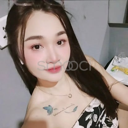 Wren – Hello, let's meet. Let's have fun. I'm cute.  .