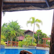 sun shyne London Escort